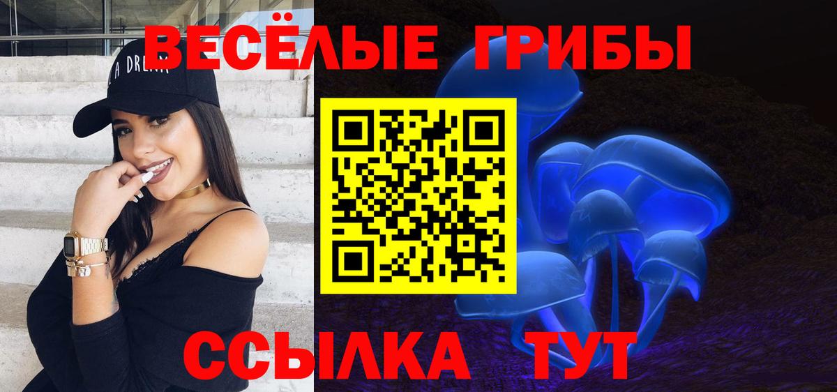 Среднеуральск  закладки  Вход с VPN  Псилоцибиновые грибы мухоморы 
